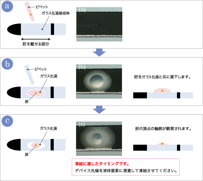 使用方法（凍結操作時）図