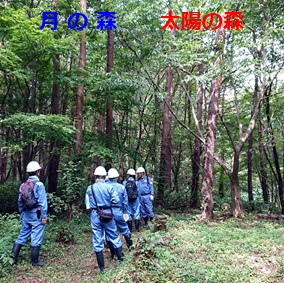 太陽の森・月の森