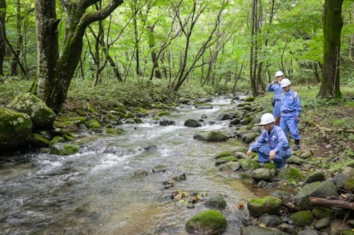 水生動物の調査をする様子