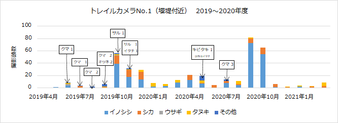 堰堤付近2019-2020