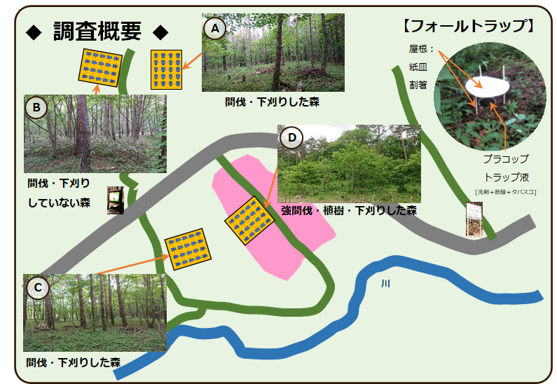 土壌動物調査概要