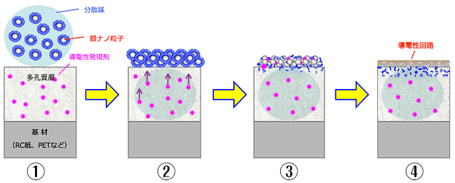 導電性発現の原理