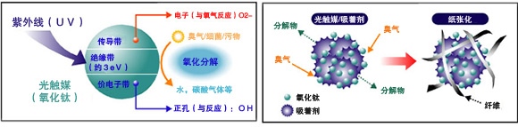 AQUA RADIT®S所用的光触媒纸的构成