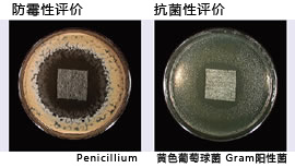 防カビ性評価　抗菌性評価