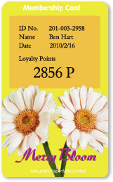 Loyalty card sample