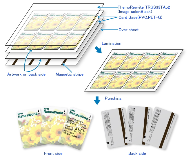 TRGS33TAb2