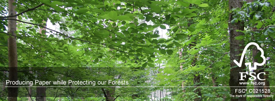 Producing Paper while Protecting our Forests