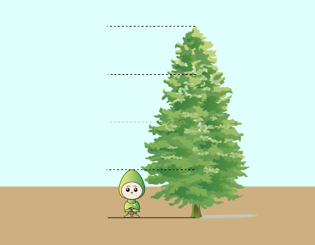 身長の倍数で木の高さを測る
