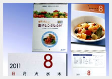 Braille calendars 2011 edition
