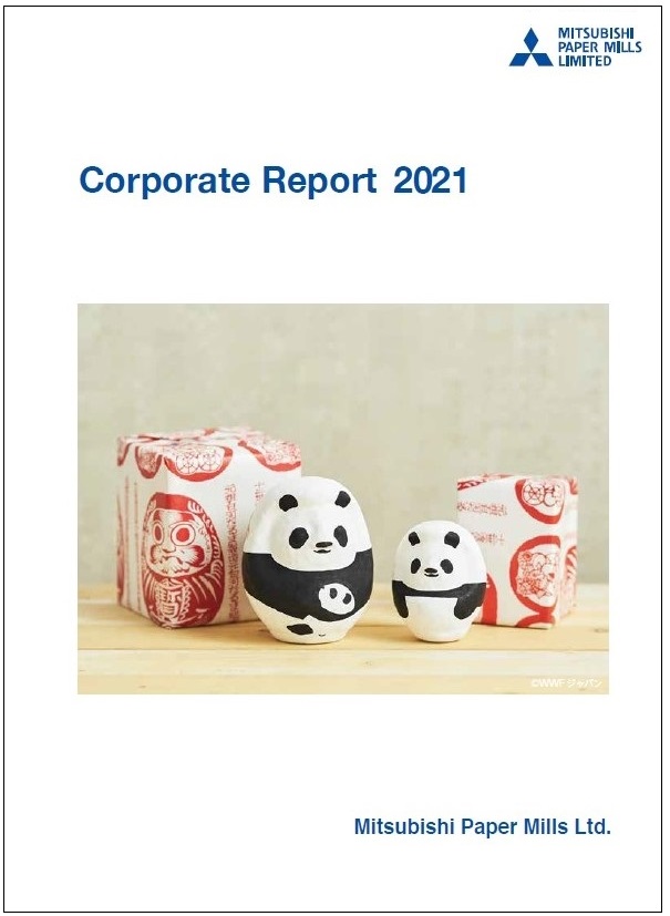 Corporate Report 2021