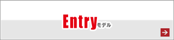 Entryモデル